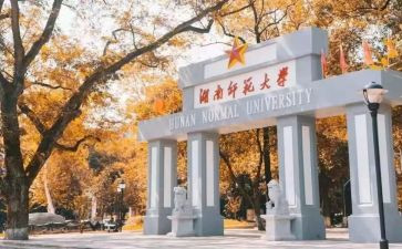 小学教育调查报告师范文7篇