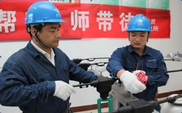 小学语文师徒师傅工作计划7篇