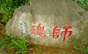 强师德铸师魂心得7篇