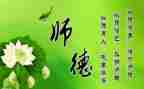 师德铸师魂演讲稿5篇