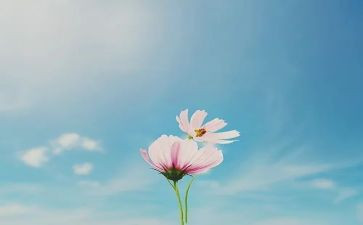 十年的演讲稿5篇