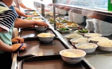 食堂半年工作与下半年工作计划7篇