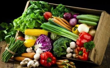 校园食物浪费现象调查报告7篇