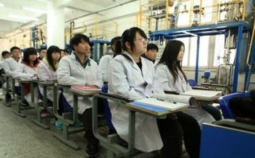 大学生实训课总结报告6篇