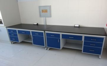 2024年实验工作总结范文精选7篇