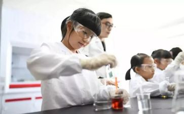 做实验的工作总结5篇