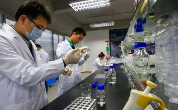 试验工工作总结通用7篇