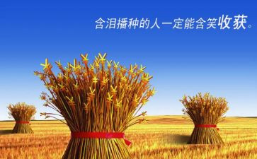 军训收获及心得通用5篇