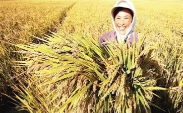我收获作文300字推荐7篇