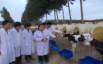 兽医考核个人总结7篇