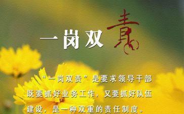 总经理一岗双责述职报告5篇