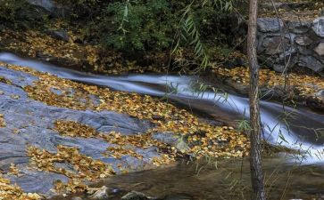 《水》诗歌教案优质6篇