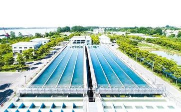水厂工作半年总结8篇