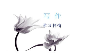 抒情版的演讲稿7篇