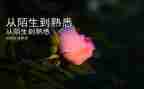 最熟悉的人作文模板7篇