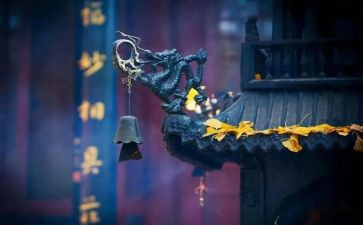 寺管干部个人培训总结5篇