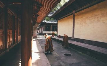 玉泉寺的作文5篇
