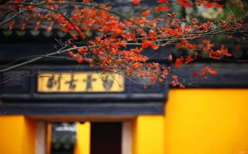 寺管工作计划参考8篇
