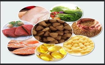 饲料销售心得体会推荐7篇