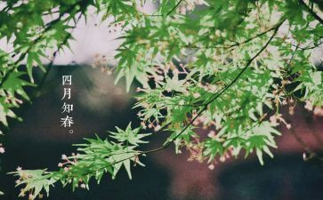 四月中班月总结7篇