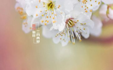 大班四月工作总结参考8篇