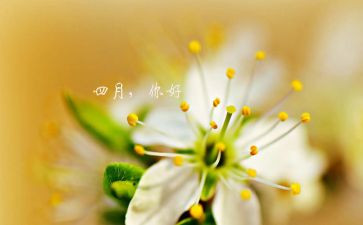 小班四月工作总结推荐6篇
