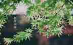 四月心得6篇
