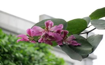 幼儿园小小班四月份工作总结7篇