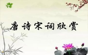 宋词的作文8篇