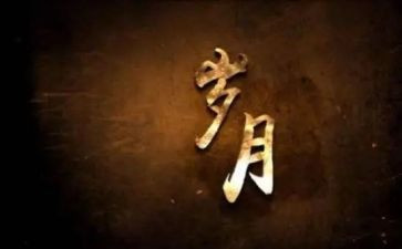 七年岁月知青读后感7篇