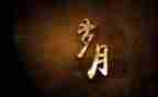 七年岁月知青读后感7篇