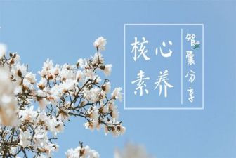 上职业素养的心得体会最新5篇