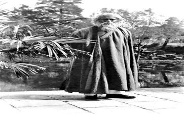《泰戈尔》读后感最新8篇