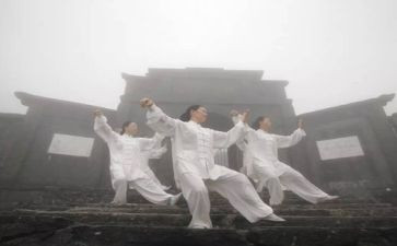 太极扇的心得体会7篇
