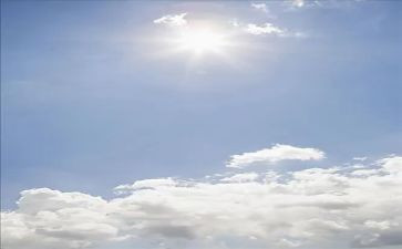太阳树作文参考5篇