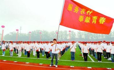 特岗教师年终总结5篇