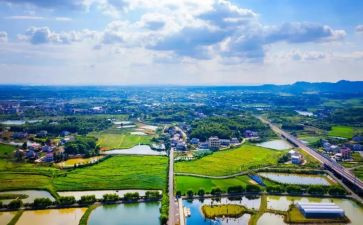 特岗教师自我鉴定模板7篇