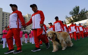 特教老师工作总结优秀5篇