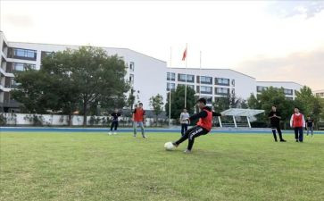 2024年学校体卫艺工作总结6篇
