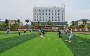 县体卫艺工作计划模板6篇