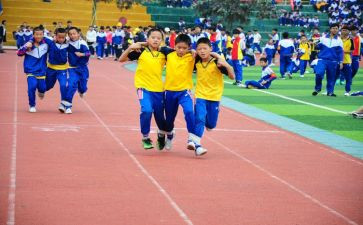 幼儿体育活动投的教案参考6篇