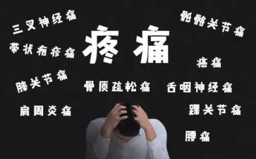 我痛恨作文6篇