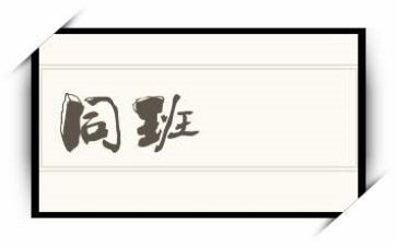 我的同班同学作文6篇