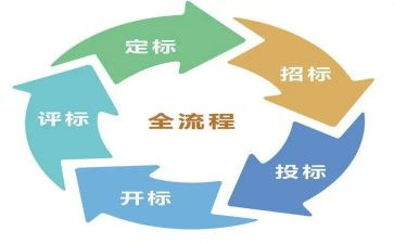 投标员工作总结6篇