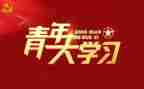 优秀团青年先进事迹8篇