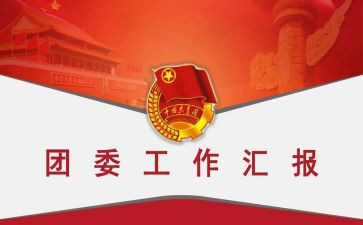 初中团委工作总结范文8篇