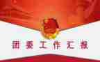 初中团委工作总结范文8篇
