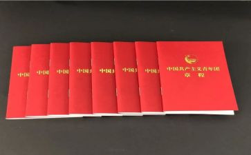 学习团章的心得体会6篇