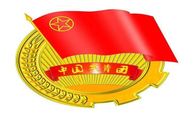 大学团支部的工作报告5篇