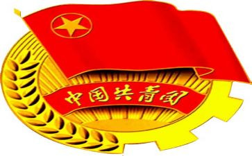 团组织的心得体会5篇